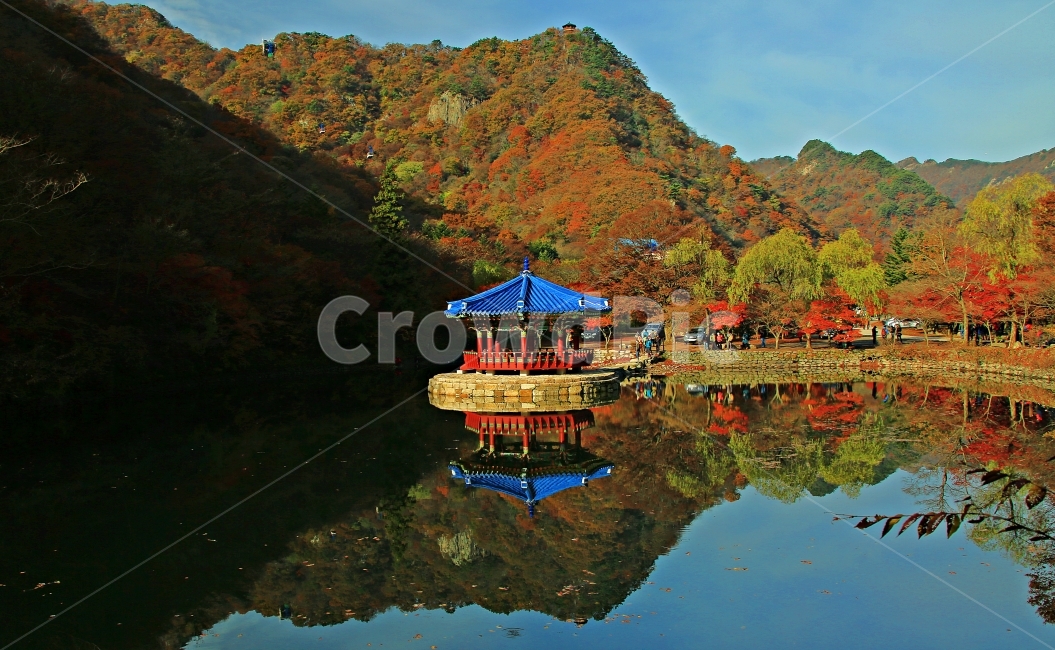 내장산국립공원,우화정,가을풍경,단풍,우화정의가을,정읍,가을,계절,fall,autumn,season,자연,풍경,nature,landscape,한국자연풍경,한국자연경관,korea nature landscape,한국전통,한국문화,korean traditional,korean culture,water,물,outdoors,옥외