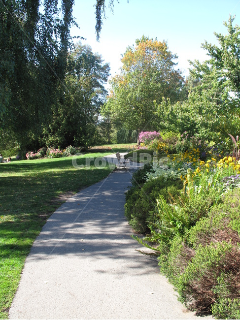 나무,식물,녹색,공원,길,잔디,tree,green,plant,park,canada,wood,nature,vancouver,벤치,캐나다,벤쿠버,퀸엘리자베스공원,qeenelizabethpark