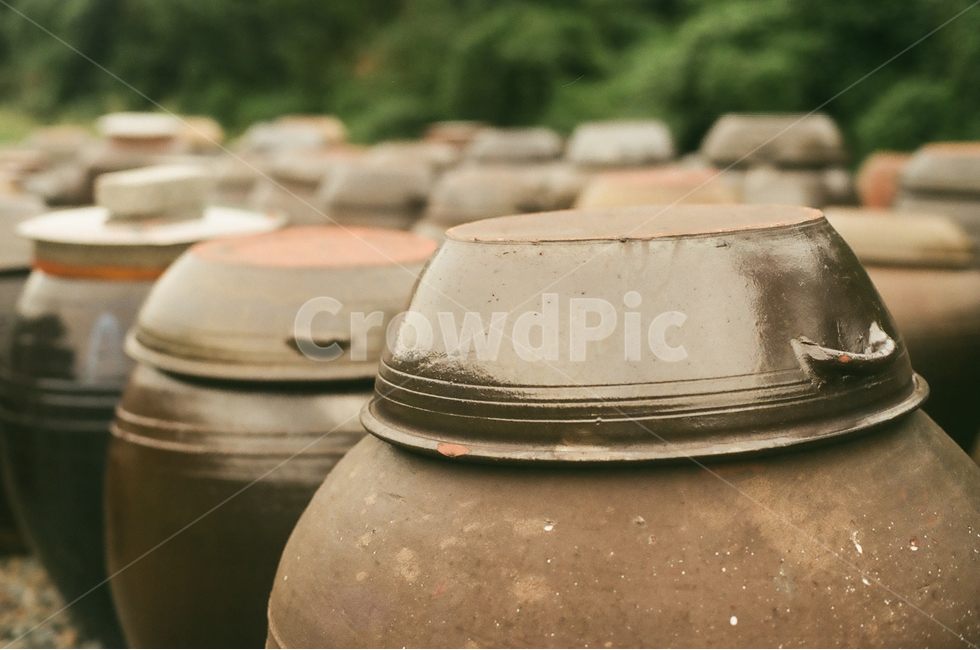 항아리,장독대,장독,시골,전통,풍습,고추장,된장,간장,pot,jar,crock,tradition,custom,한국전통,한국문화,koreantraditional,koreanculture,감성,빈티지,아날로그,필름,필름사진,필름카메라,film,filmcamera,한국전통,한국문화,korean traditional,korean culture,사물,물건,오브젝트,thing,object,matter