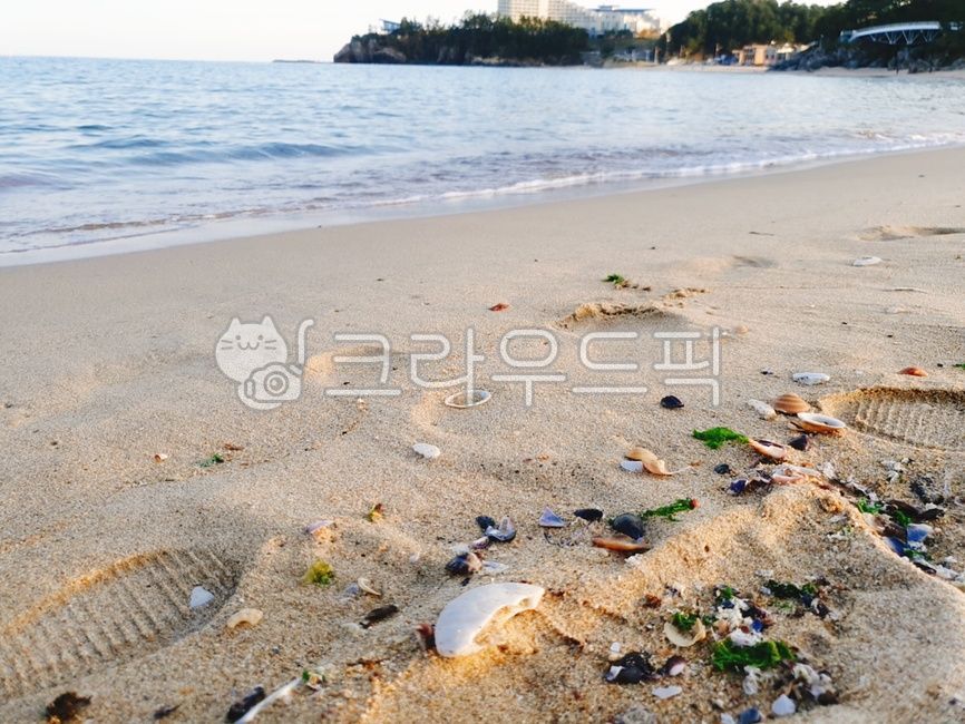 tide, windless, colorfully, surge, seashell - Authentic Korean Stock ...