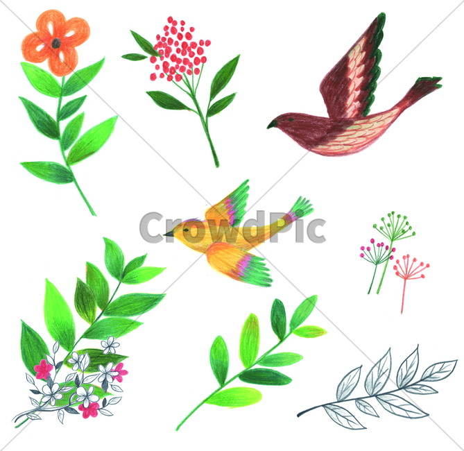 handdrawing,painting,cute,lovely,adorable,charming,sweet,foliage,꽃,손그림,색연필,coloredpencil,잎,leaf,새,bird,그래픽,일러스트레이션,graphic,illustration