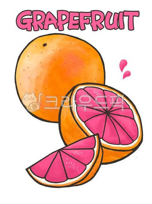 beverage ingredients,hand drawing,grapefruit tea,fruit,grapefruit,Grapefruit Ade