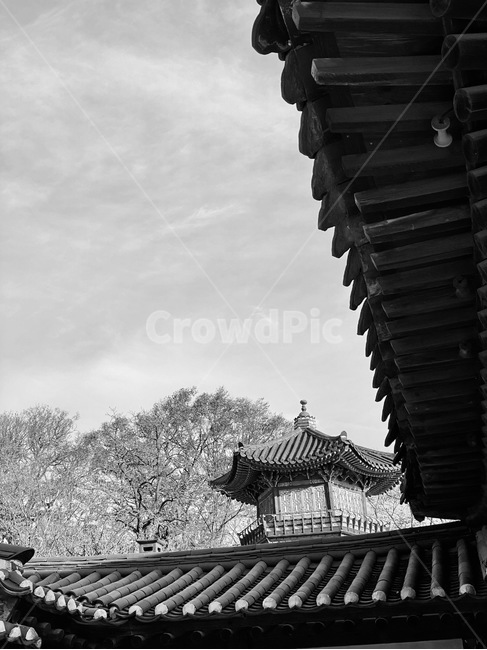 한옥,창덕궁,궁궐,흑백,기와,처마,한국전통,한국문화,korean traditional,korean culture