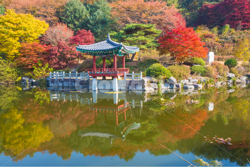 자연,풍경,가을,계절,추경,만추,호수,저수지,연못,현충원,대전,공원,전망대,물,반영,단풍나무,단풍,정원,정원수,산,노란,붉은,빨간