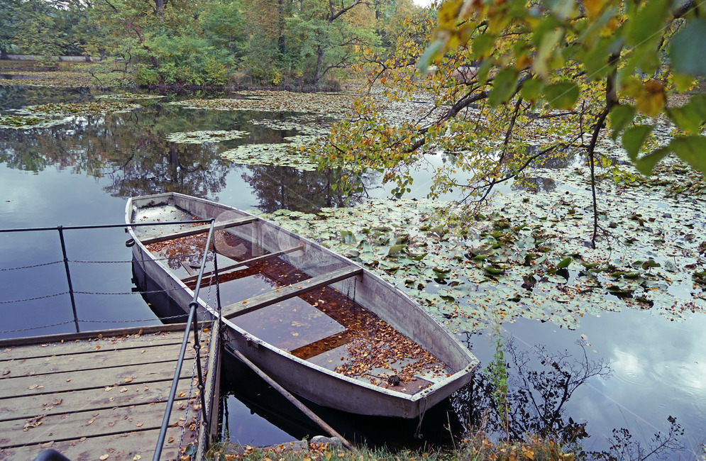 가을,배,호수,작은배,가을분위기,공원,자연,풍경,nature,landscape,canoe,카누,boat,보트,transportation,교통,rowboat,노 젓는 배,vehicle,차량,watercraft,선박