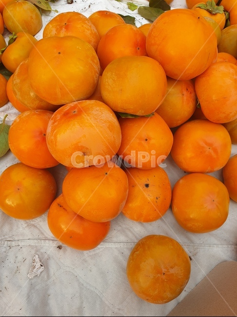 감,과일,음식,food,fruit,모둠,무더기,신선한,붉은,식물,plant,과일,열매,fruit