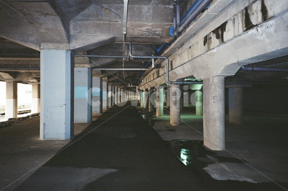 필름,필름사진,다리,어두움,길,film,filmphoto,bridge,dark,road