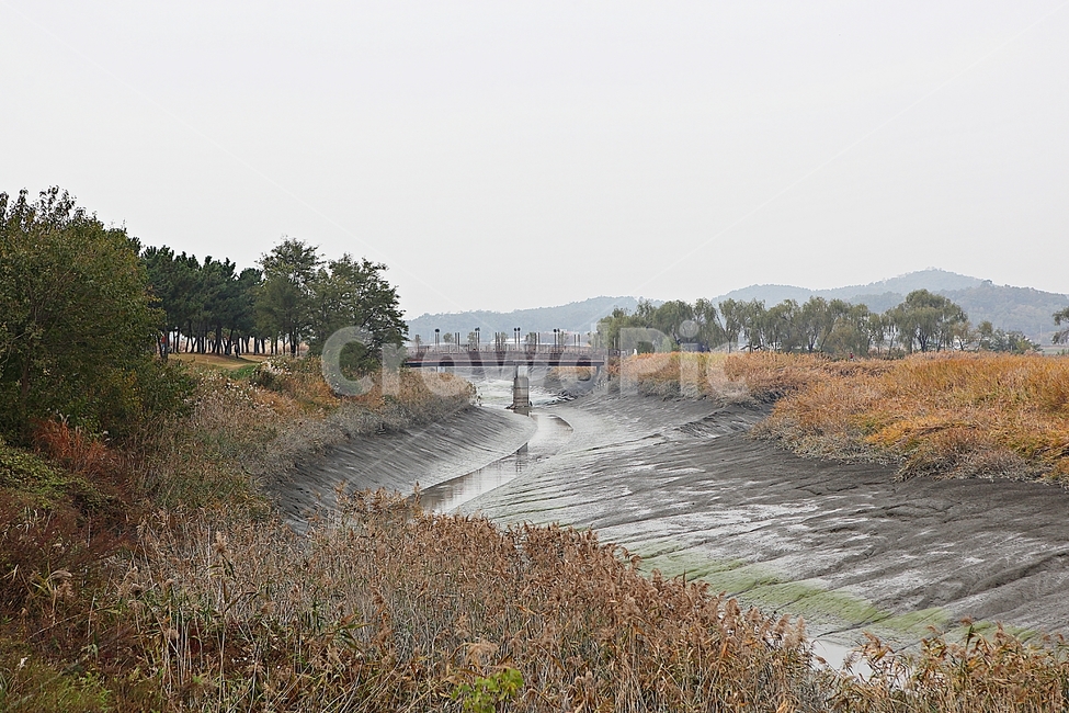 시흥갯골생태공원,생태공원,공원,갈대,억새,식물,자연,풍경,풀,잡초,갯골,자연,풍경,nature,landscape