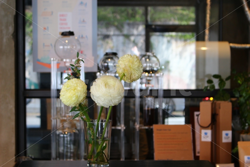 커피,카페,스페셜티,로스터리,인테리어,맛집,coffee,cafe,specialty,roastery,식물,자연,plants,nature,인테리어,실내디자인,interior design,커피,카페,coffee,cafe,꽃,flower