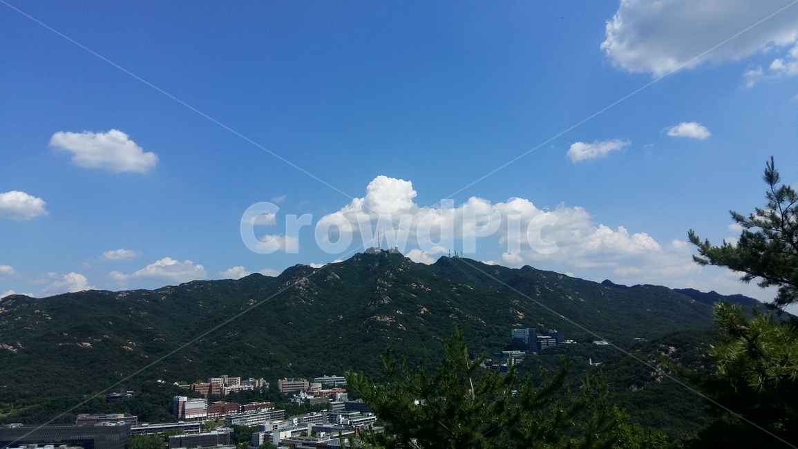 구름,소나무,관악산,삼성산,하늘