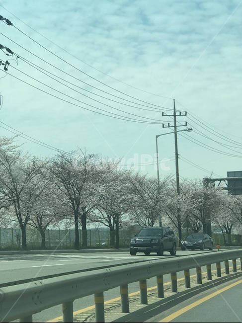 도시,풍경,일상,도로,드라이브
