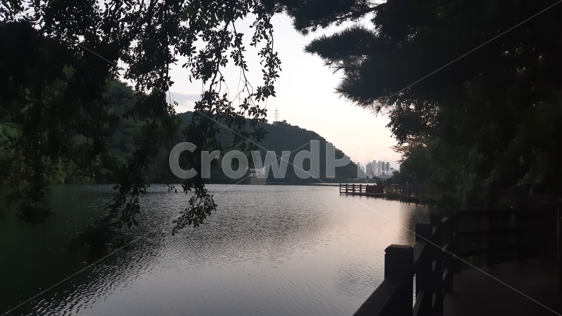 water,물,outdoors,nature,호수,저수지,정글,나무,land,자연