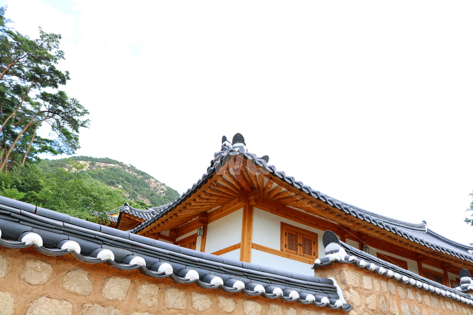 기와집,기와,진관사,절,나무,옛날집,한국전통,한국문화,korean traditional,korean culture,건축물,건물외관,exterior,building,structure,architecture,construction