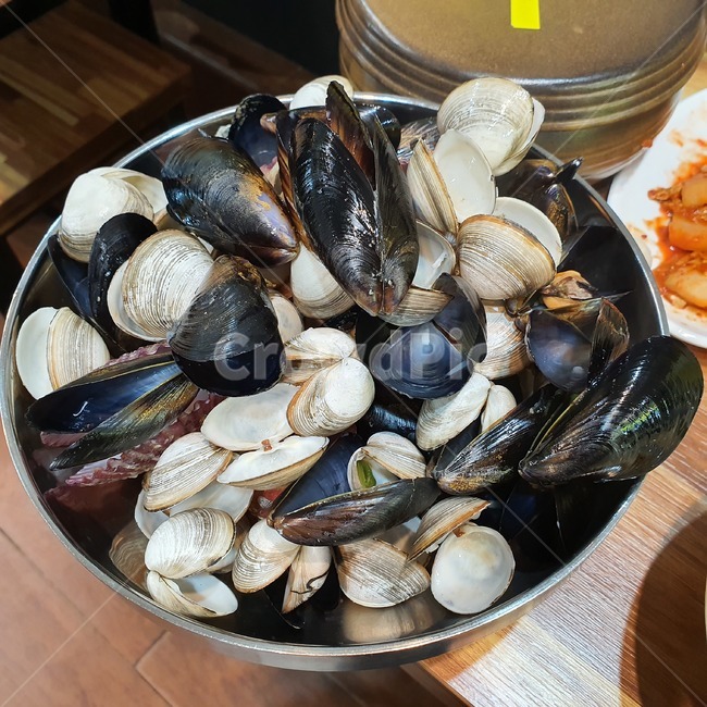 조개, 조개껍질, 조개들, 해산물, 해물, 사진,이미지,일러스트,캘리그라피 - sam333작가