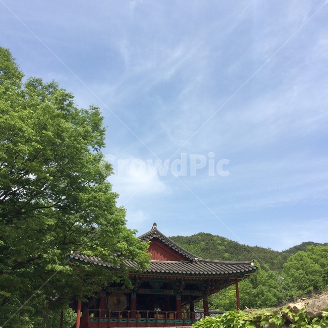 한국,전통,한국전통미,전통미,한옥,절,사찰,용연사,자연,korean,traditional,temple,nature,koreantraditionalhouse