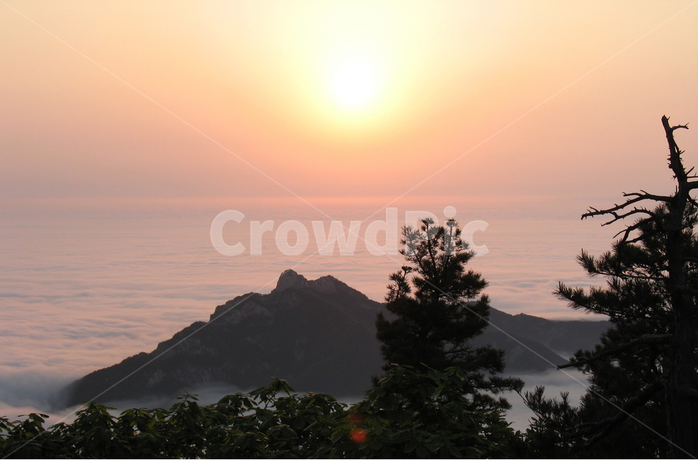 설악산,달마봉,일출,운해,달마봉일출,자연,풍경,nature,landscape,한국자연풍경,한국자연경관,korea nature landscape,outdoors,옥외