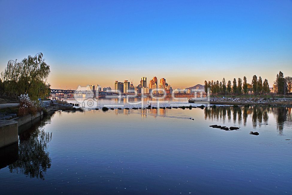 한강,한강변,잠실둔치,서울,건물,아파트,탄천합수부,잠실