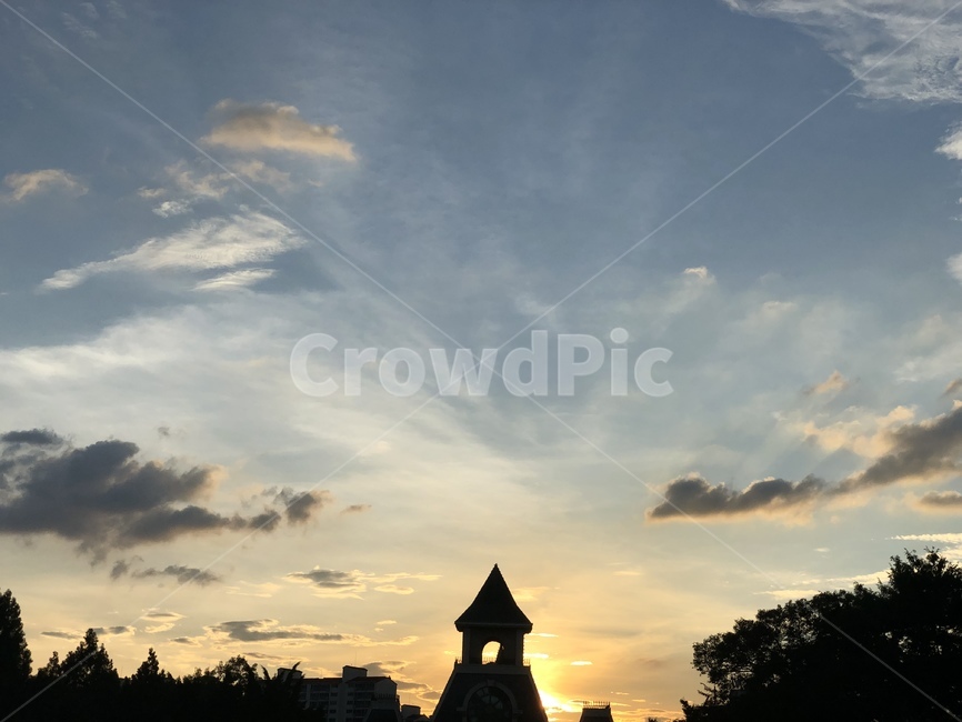 nature,자연,outdoors,옥외,햇빛,sunlight,노을