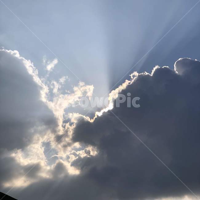nature,자연,sunlight,햇빛,outdoors
