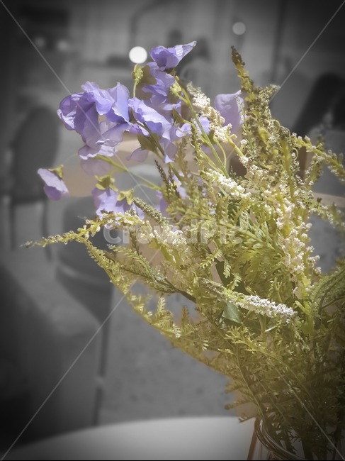 꽃,보라색꽃,보라,flower,purple,흑백,보라색