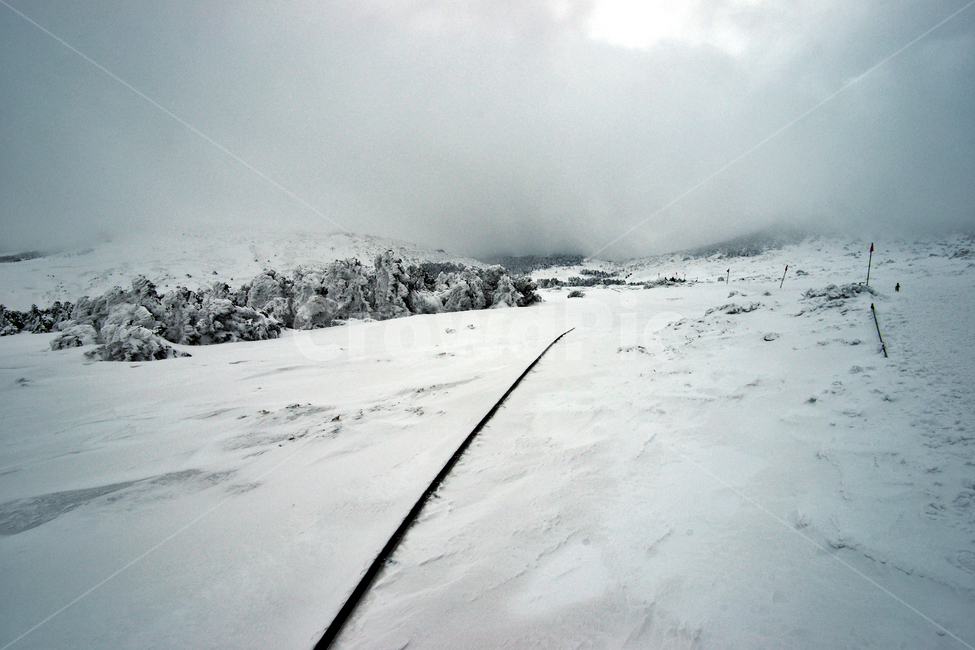 한라산,제주도,영실코스,설경,눈,겨울,설화,겨울,계절,winter,season