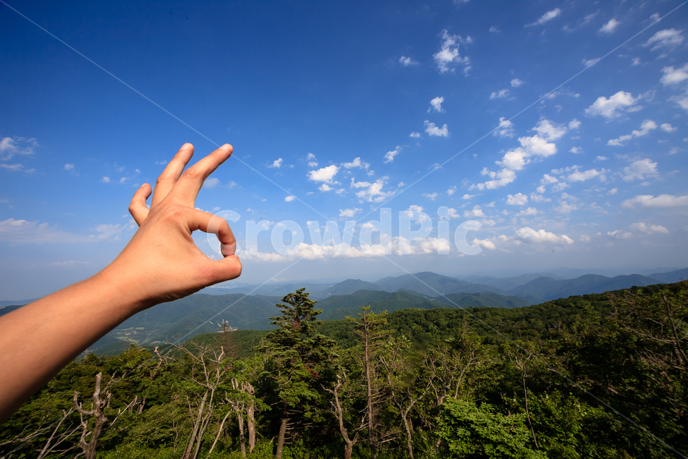 알펜시아,강원도,환경,농촌,구름,숲,공원,맑은,풍경,여름,자연,풍경,nature,landscape,사람,인물,인간,human,person,신체일부,몸,body,outdoors,옥외