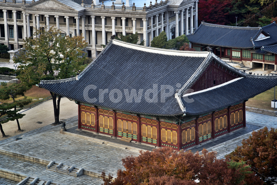 덕수궁,궁궐,가을,자연,도심,중화전,한국전통,한국문화,korean traditional,korean culture