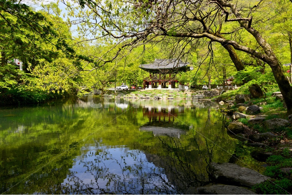 lake,호수,building,건물,architecture,건축물,stream,흐름,장성,백양사,신록,연두색,봄,계절,nature,백암산,쌍계루,반영,자연,water,물,outdoors,옥외,자연,풍경,nature,landscape,한국자연풍경,한국자연경관,korea nature landscape