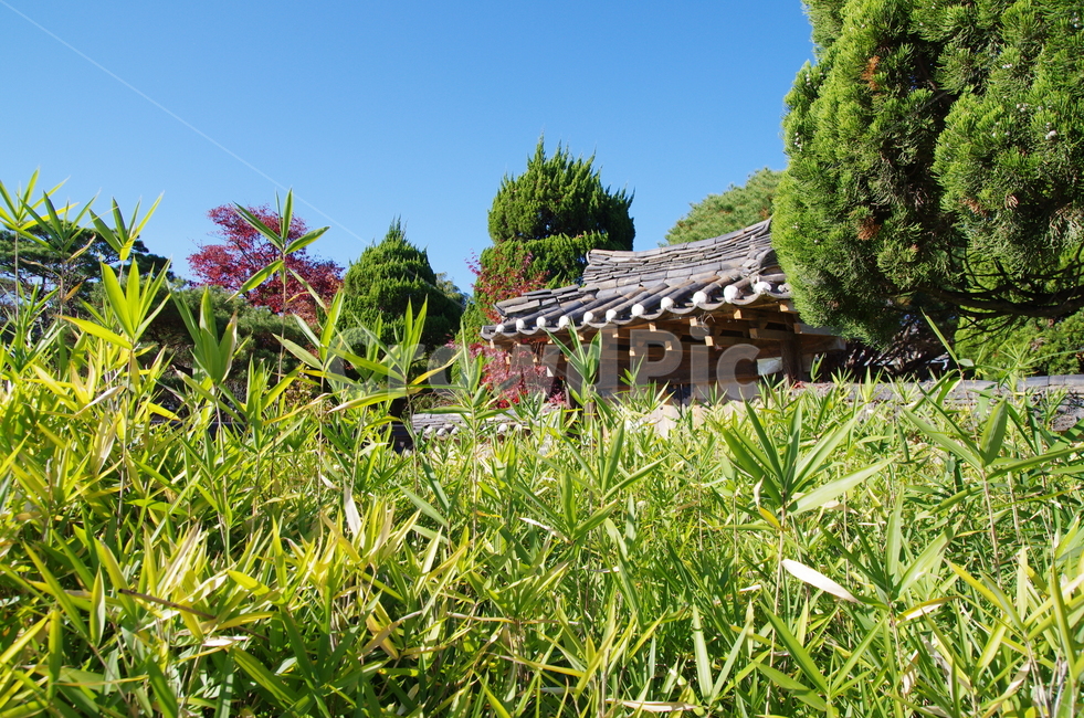 하회마을,유네스코,경북안동,안동,한옥,한국전통,한국문화,korean traditional,korean culture,건축물,건물외관,exterior,building,structure,architecture,construction