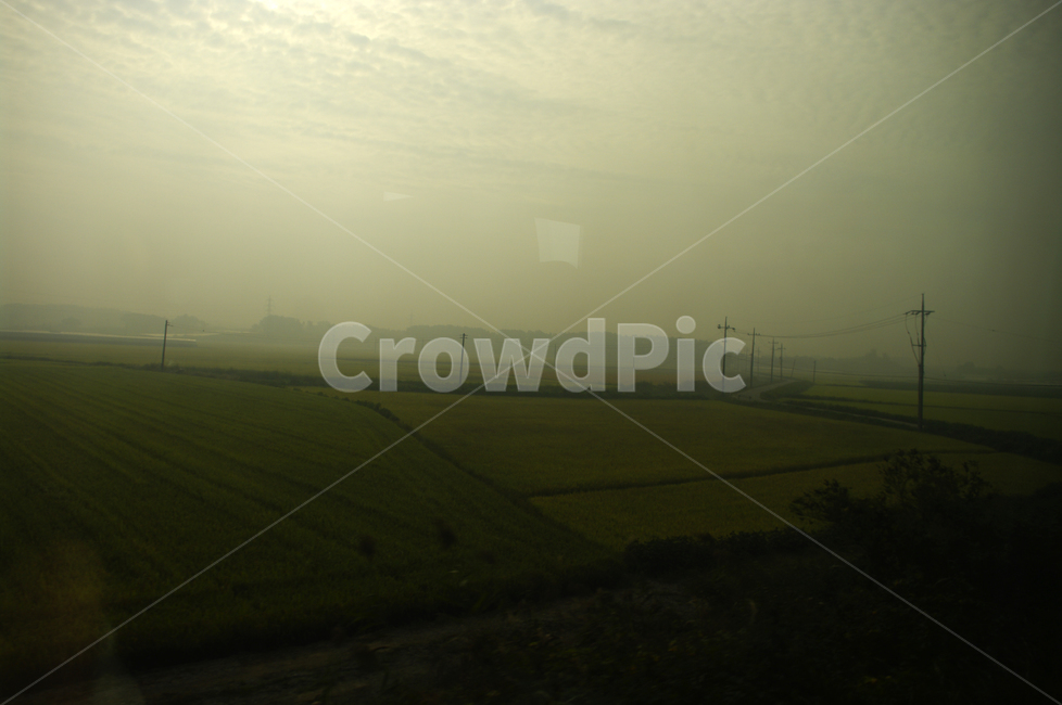 창,풍경,하늘,밭,논,자연,풍경,nature,landscape,grassland,목초지,outdoors,옥외,field,들,paddy field,패디 필드