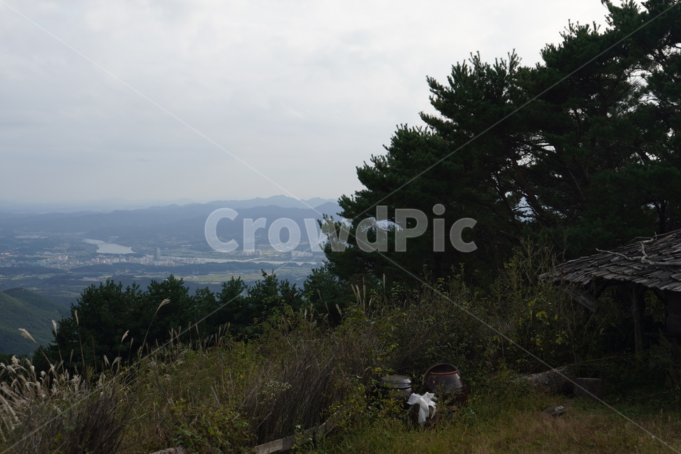 풍경,하늘,구름,자연,nature,cloud,나무,tree,식물,plant,자연,풍경,nature,landscape,fir,전나무