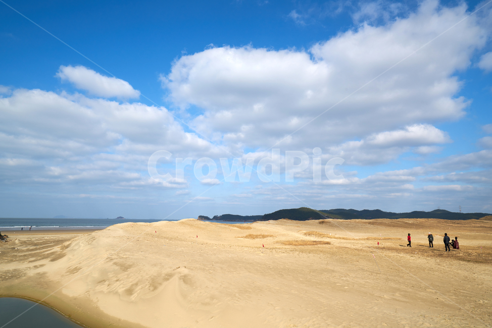 신두사구,해안사구,태안군,모래,사구,충남,한국,신두리해안사구,태안신두리해안사구,모래언덕,관광지,풍경,자연,실외,구름,하늘,자연,풍경,nature,landscape,soil,흙,sand,outdoors,옥외,dune,모래 언덕,desert,사막