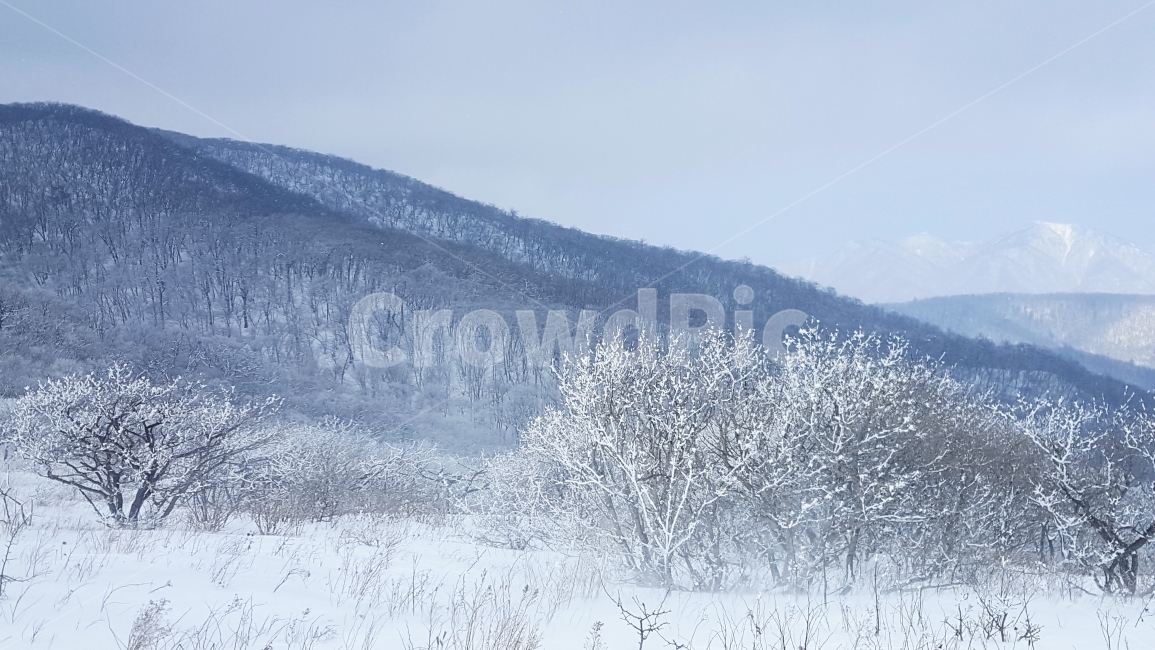 강원도,곰배령,인제,점봉산,설국,상고대,겨울,눈꽃,하얀세상,하얀나라,트레킹,trekking,눈의계절,눈,winter,겨울,계절,winter,season,자연,풍경,nature,landscape,한국자연풍경,한국자연경관,korea nature landscape,outdoors,옥외