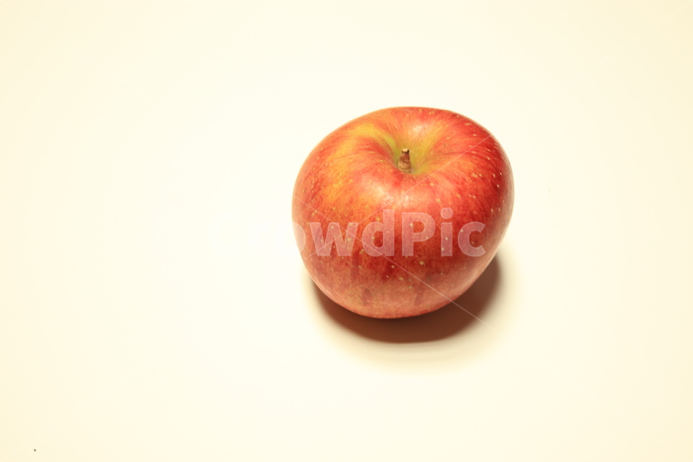plant,식물,apple,사과,food,과일,fruit,음식