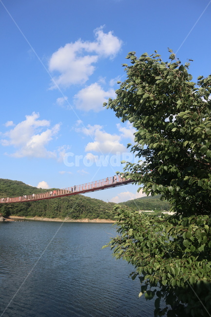 날씨,봄,풍경,자연,나무,강,바람,구름,물,building,bridge,다리