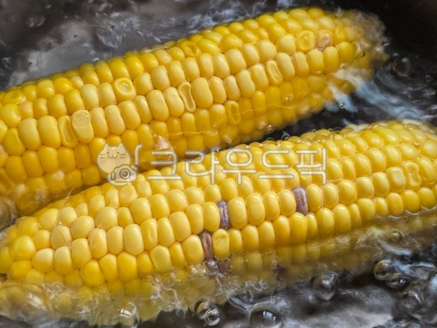 Corn,boiled corn,boiling corn,sweet corn,boiled corn,steamed corn,summer food,summer snack,snack,corn,pot,steamed,steam,boil,boiled food,steamed food,boiled