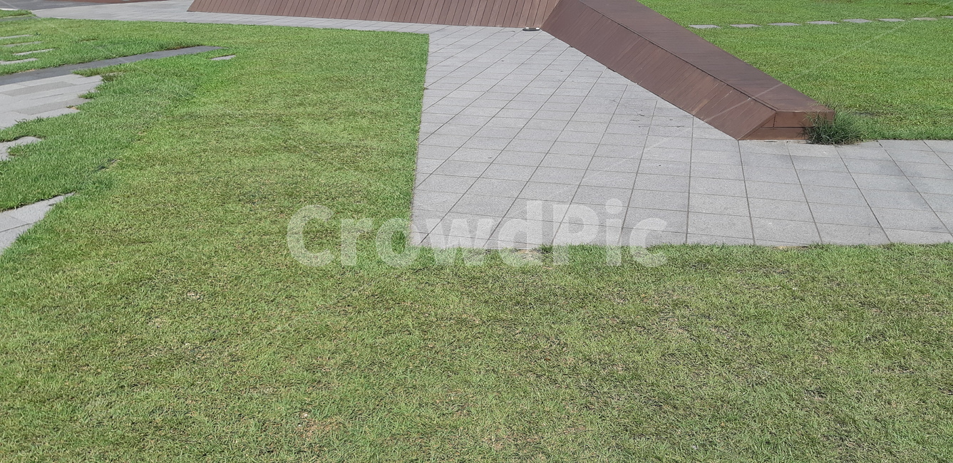 grass,잔디,plant,식물,path,통로,길,공원,야외,초원