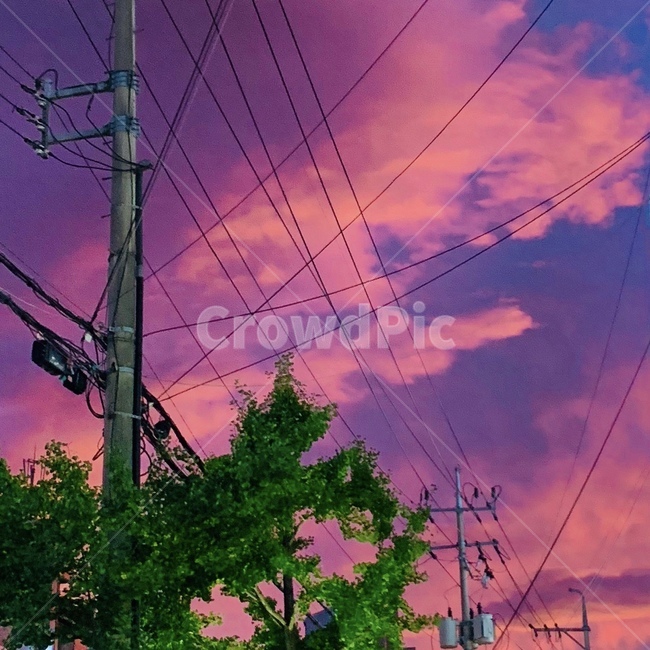 핑크하늘,핑크,하늘,분홍,pink,sky,cloud,구름