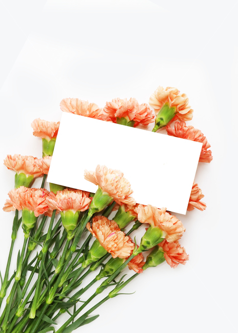 카네이션,꽃,코랄,백그라운드,배경이미지,배경,꽃송이,꽃다발,프레임,카피스페이스,기념일,주황색,기념일,축하,anniversary,congratulation,celebrate,celebration