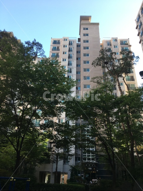 파란하늘,긴나무,tall,아파트,city,숲속의아파트