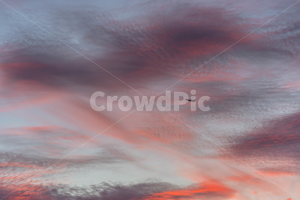 sunset,일몰,비행기,ariplane,travel,trip,view,scene,풍경,자연,풍경,nature,landscape,교통,교통수단,traffic,transportation,outdoors,옥외,sky,하늘