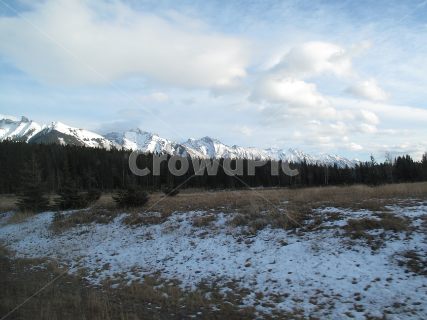 설산,눈,잔디,로키산맥,캐나다,rockymountains,canada,yohonationalpark,요호국립공원,구름,나무,tree,겨울,자연,풍경,nature,landscape,해외,외국,세계,foreign,oversea,world,세계자연풍경,해외자연풍경,외국자연풍경,world nature landscape,plant,식물,abies,아비,fir,전나무