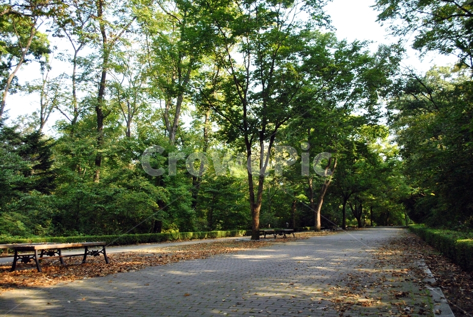 수목원,나무,벤치,산책,휴식,arboretum,tree,bench,stroll,relax,자연,풍경,nature,landscape