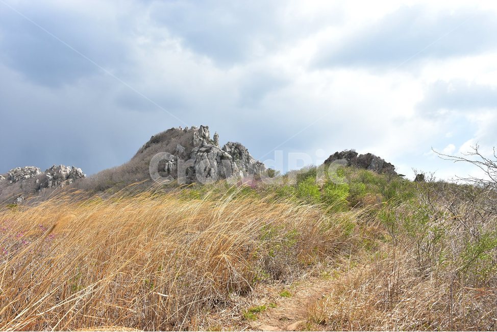 주작산,덕룡산,종주,진달래,풍경,기암,바위,비경,봄풍경,진달래꽃,강진,명산,산행,등산,마운틴,힐링,mountain,landscape,자연,natural,자연,풍경,nature,landscape,한국자연풍경,한국자연경관,korea nature landscape,outdoors,옥외,hill,언덕