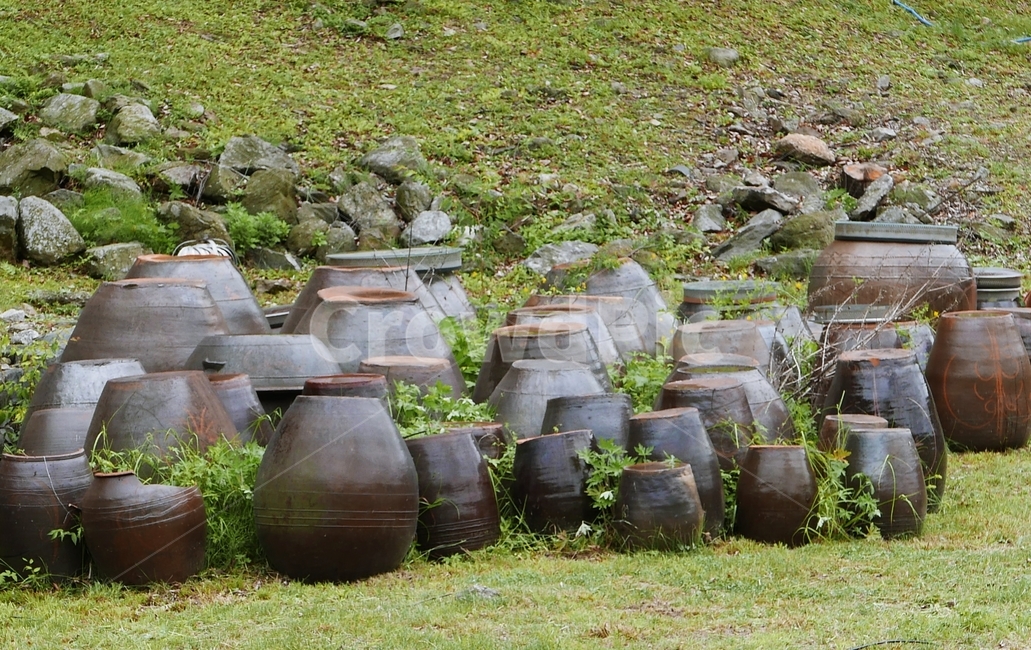 절,항아리,자연,파주,보광사