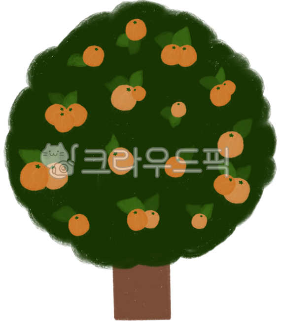 귤,귤일러스트,귤나무,귤나무일러스트,귤나뭇가지,귤나무추천,귤나무손그림,귤요소,제주도,제주도귤,제주도귤나무,제주도귤나무추천,제주도귤일러스트,제주도귤나무일러스트,제주도귤손그림