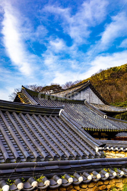 화엄사,문화유산,사찰,인간,봄,기와,풍경,지붕,roof,하늘,구름,전통건축물,한옥