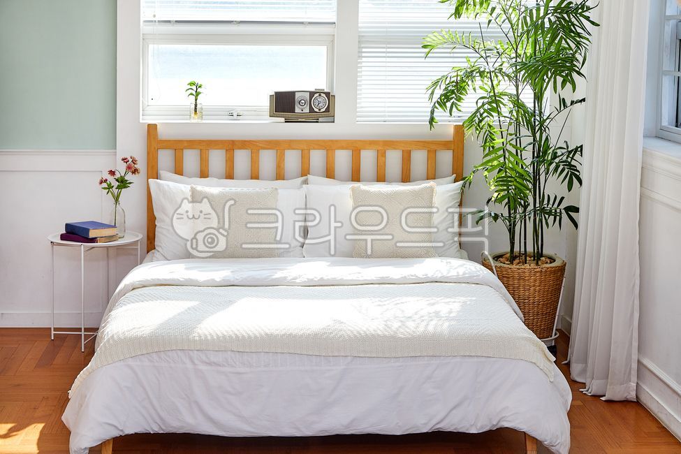 bed,studio,sunshine,woodenbed,rentalstudio,interior,bedding,pot,furniture,modern architecture,living room,Rental Studio,livingroom,indoors,floor,modernarchitecture,tree,lamp,It is comfortable,room,comfort,wooden bed,flower,sunlight,one room,interior desig