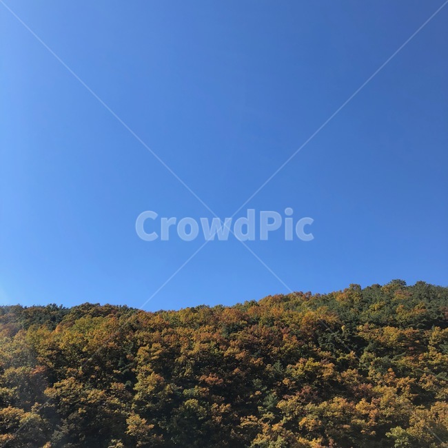 가을,가을하늘,하늘,단풍,가을산