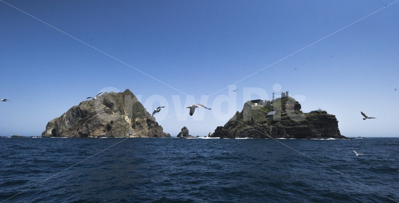 독도,애국,여행,바다,풍경,힐링,우리땅,자연,풍경,nature,landscape,동물,animal,조류,새,birds,land,땅,outdoors,옥외,water,물,sea,ocean,대양,shoreline,해안선,promontory,곶,coast,연안,bird